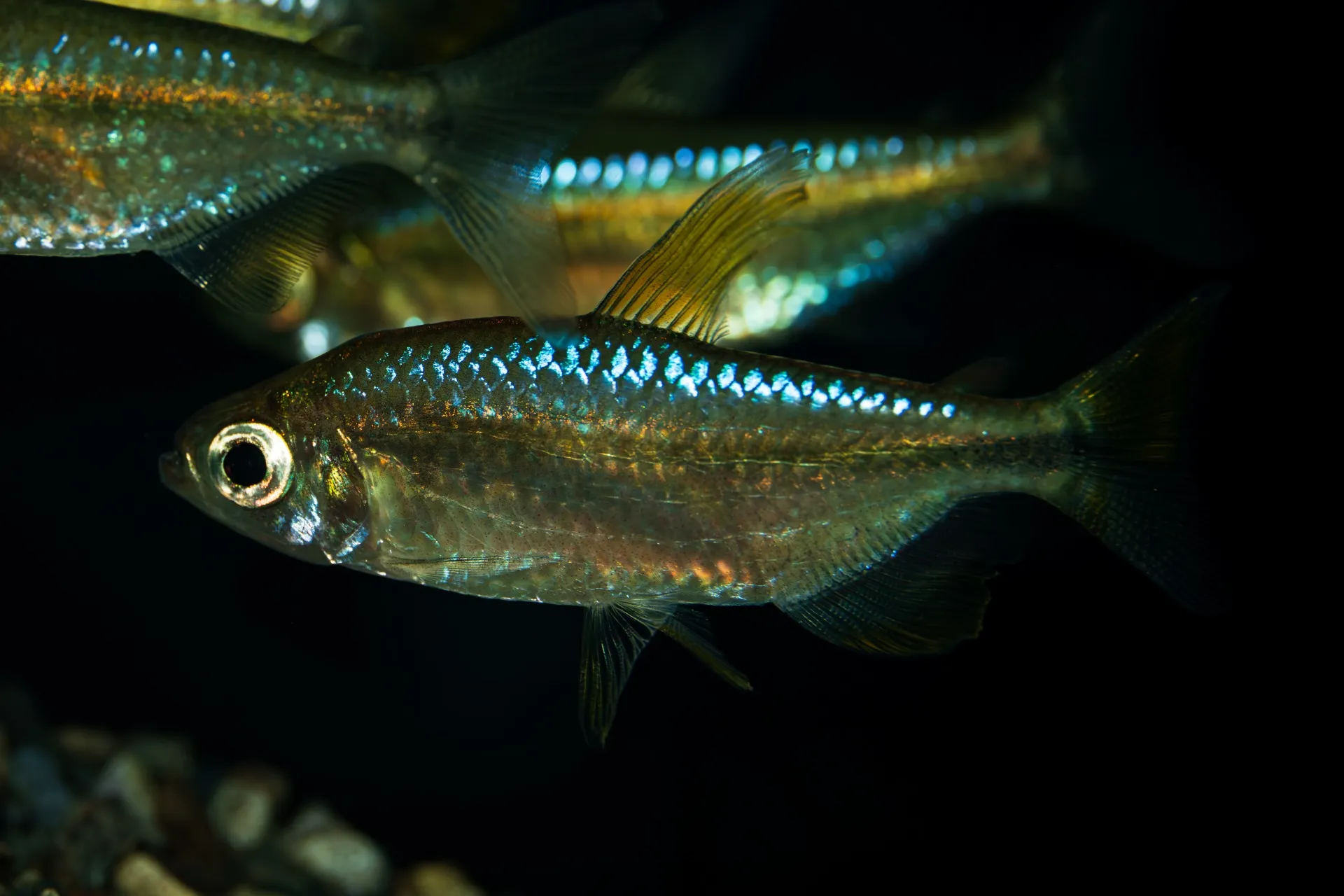 2025年4月28日〜2025年5月4日　入荷情報！