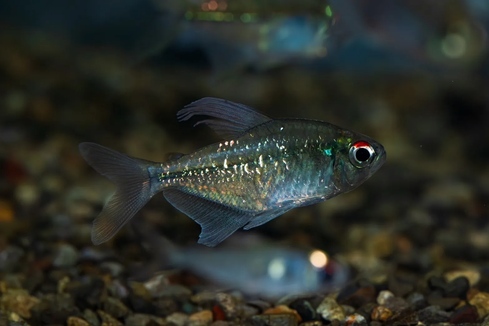 2025年5月5日〜2025年5月11日　入荷情報！